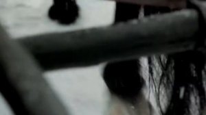 Над полями, да над чистыми - А.ГамИ