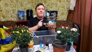 Спасаю РОЗЫ из магазина!? Срочная пересадка и обработка!?