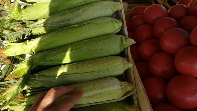 КРЫМ В ИЮЛЕ. ЦЕНЫ НА ТРАССЕ. ЛУК, ПЕРСИКИ, АБРИКОСЫ смотреть онлайн