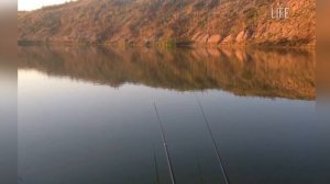 Как погода влияет на клёв карася? В какую погоду лучше ловится карась?