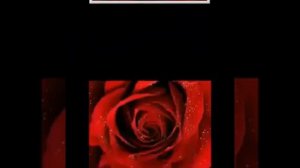 Аллаха шукур!!!