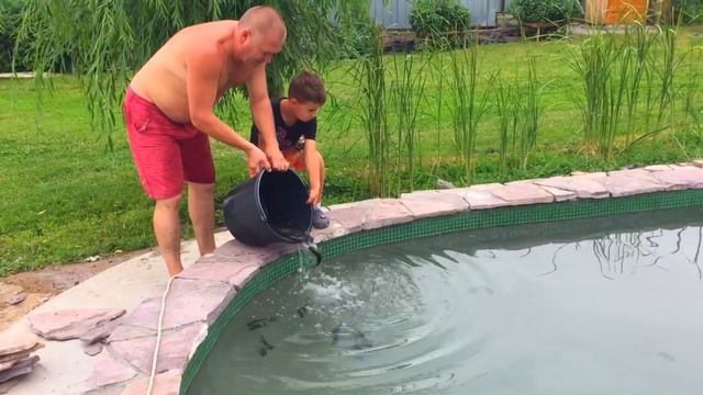 Домашний пруд. Запускаем рыбу и высаживаем нимфею.