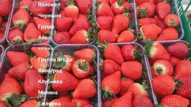 Овощи опт, цены Великие Копани. Херсонская область. Direct Delivery смотреть онлайн