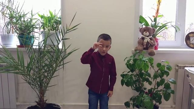 Стих Андрея Усачёва"Гном и Звезда" в исполнении Правда Платона смотреть онлайн