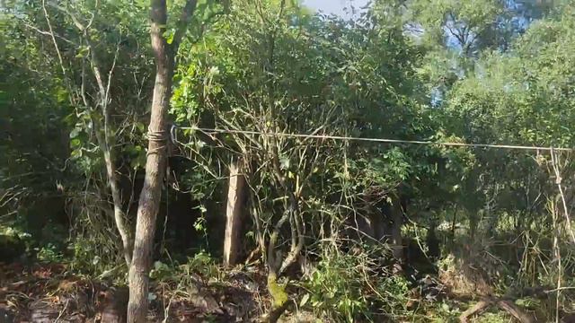 Как продвигается чистка козлом смотреть онлайн