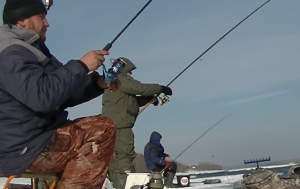 Разведка на Оби. Зимний фидер. Рыбалка на фидер! Feeder fishing in Siberia.