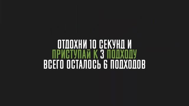 Workout Тренировка #8