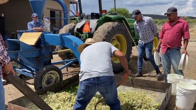Agave Power: How a Revolutionary System of Regenerative Agriculture Is Greening the Desert смотреть онлайн