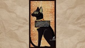 Почему в Египте кошки считаются священными