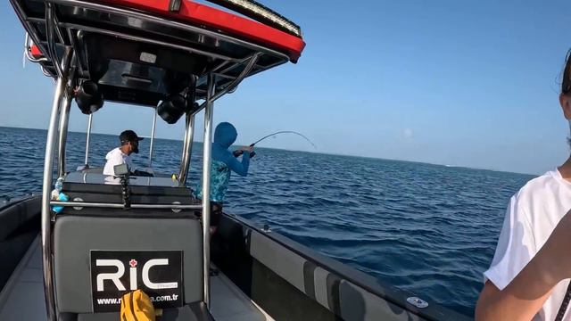 Bir Günde Onlarca Farklı Tür Yakaladık !! / Maldivler Macerası 4. Gün смотреть онлайн