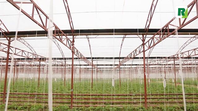 Better light transmission and absence of condensation drops due to AntiCondens (plastic) смотреть онлайн