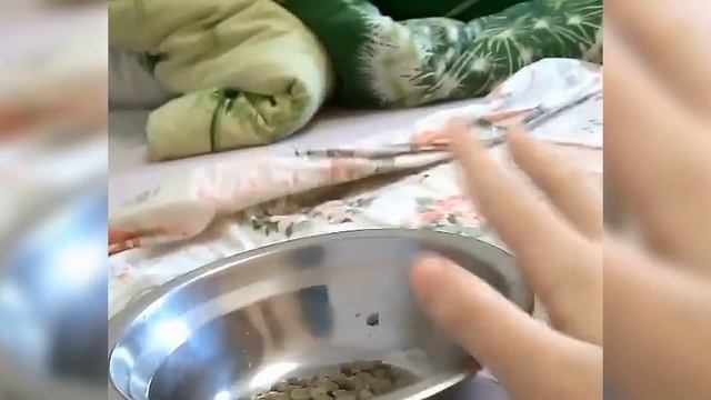 Кормление смотреть онлайн