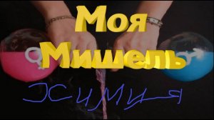 Моя Мишель  " Химия "