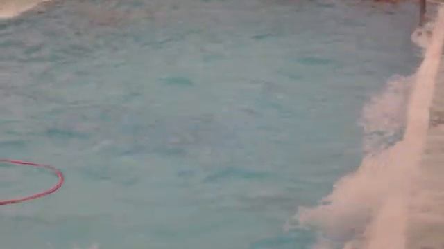 Crown Princess, cruise ship, swimming pool fun смотреть онлайн