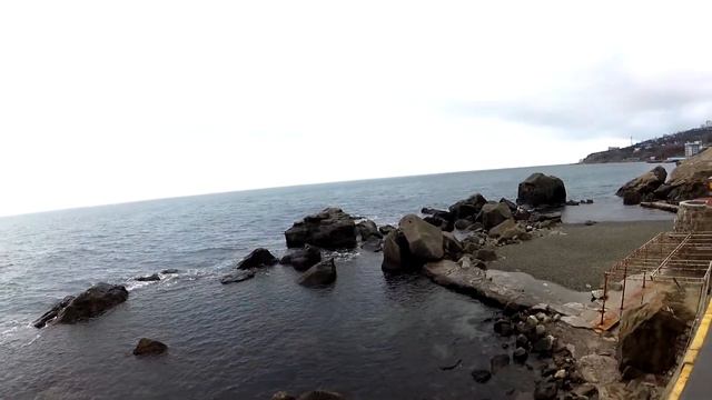 Крутые и суровые коты. смотреть онлайн