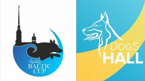 Аджилити | AGILITY BALTIC CUP 2021 (3-й этап) | 06.11.2021