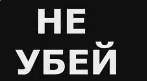 Новый проект2781