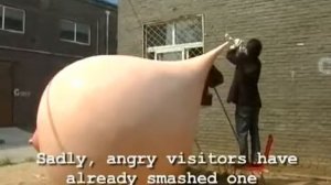 Памятник резиновой груди