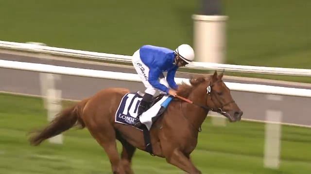 08.01.2015 Meydan (Dubai/UAE) 7.Race Longines Conquest Classic - Handicap 1.400 m смотреть онлайн