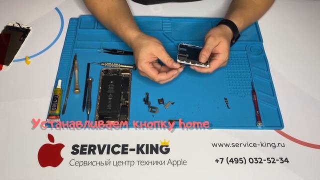 Быстрая замена дисплея iPhone 8 Plus