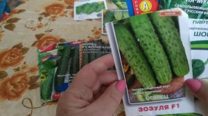 Лучшие огурцы для  теплиц.Партенокарпические гибриды  .Особенности выращивания огурцов в теплице.