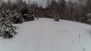 катание на снегоходе рыбоход д. Ложголово часть 1