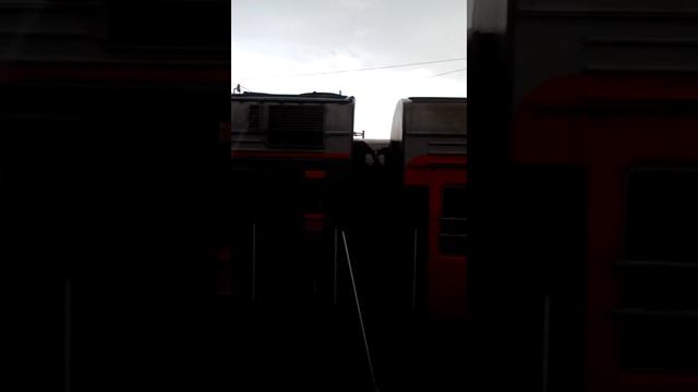 Самара,лето,отдых.....(6)