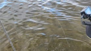 Рыбалка в ТЕМРЮКЕ. СЫН показал мастер-класс по хищнику. Эту РЫБАЛКУ запомним надолго!!!