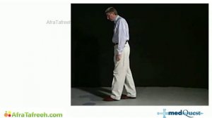 MedQuest’s Get Physical 2023 — Неврология 3/4 РАЗДЕЛ — (для USMLE Step 1, COMLEX)