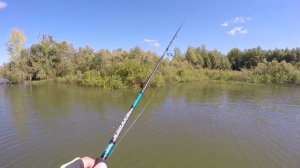 Лодочная рыбалка на Оби по большой воде летом - "Раз на раз не приходится"