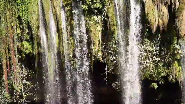 Нежная Музыка Для Души И Жизни А Пение Птиц Успокаивает Нервную Систему смотреть онлайн