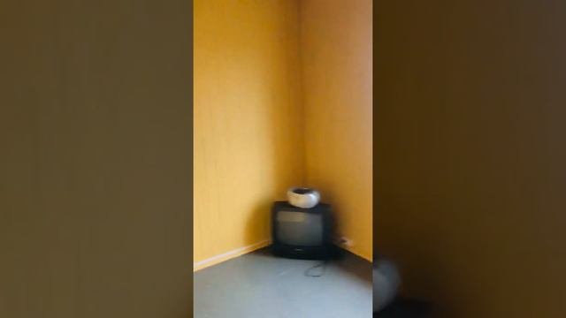 Продажа дома в с. Купанское