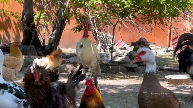 COUNTRYSIDE FAMILY LIFE! GRANDMA COOKING TANDOOR BREAD! NAPOLEON CAKE RECIPE! AMAZING LAMB RECIPE смотреть онлайн