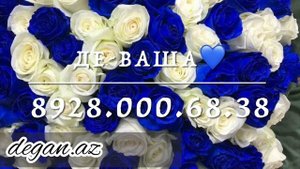 Де-Ваша,Дала декъала войла хьо?(озвучка)