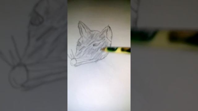 Как нарисовать галаву лиси смотреть онлайн