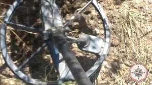 Татарская чешуйка