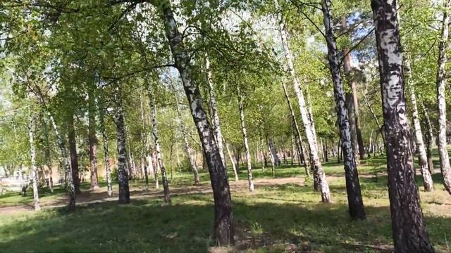 Мой первый ВЛОГ! Посылка с AliExpress.Вязаный жирафик.