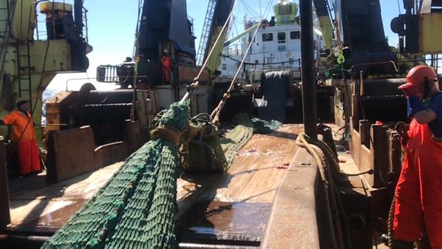 Подъем трала окунь. Море Ирмингера.