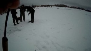 Рыбалка на Оке в день Сретения. Окуни в Тарусе.