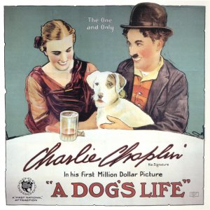 Собачья жизнь / A Dog's Life 1918 Чарли Чаплин