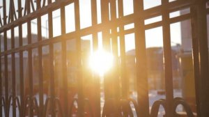 _Живые воспоминания_.mp4