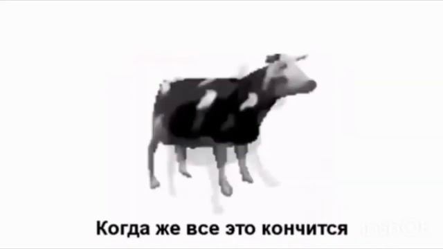 Польская корова задом наперед смотреть онлайн