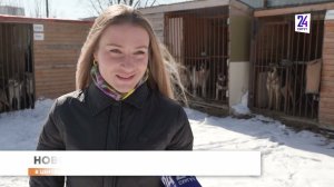 Приют "Верный друг" нуждается в помощи сургутян