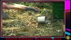 Евгений Любимцев - За окошком осень.mp4