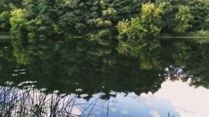 Лесной Воронеж