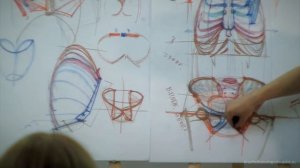 Александр Рыжкин об анатомии торса