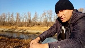 Налим осенью. Где искать налима осенью ? Места стоянки налима. Налим где обитает ? ловля налима