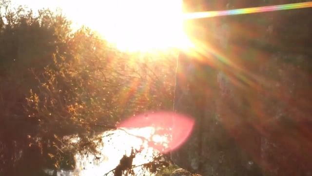 Nikon video смотреть онлайн