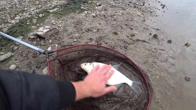 Рыбалка на Водохранилище,ОГРОМНЫЕ ЛЕЩИ. смотреть онлайн