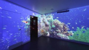 Панорамная проекция с широкоформатными анимациями [POGUMAX]